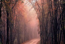 德超杯-奥尔莫戴帽凯恩首秀 拜仁0-3莱比锡错失冠军.