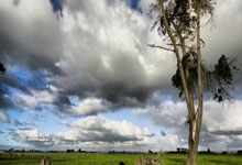 [CBA]全明星周末 扣篮大赛预赛.