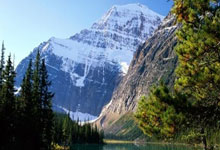 奇异果体育：足协杯-武磊帽子戏法 上海海港3-0津门虎晋级四强.