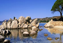 奇异果体育：客场遗憾落败，国足球员赛后向球迷谢场.